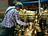 Wat Pho 017.JPG